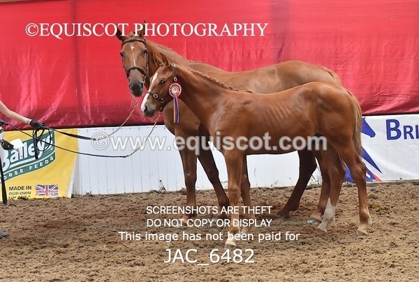 JAC_6482 - 19 Luca