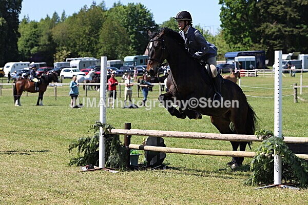 IMG_4023 - Working Hunter