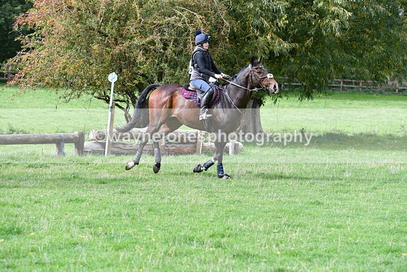 WJ5_9397 - Time 13:03 to 13:25