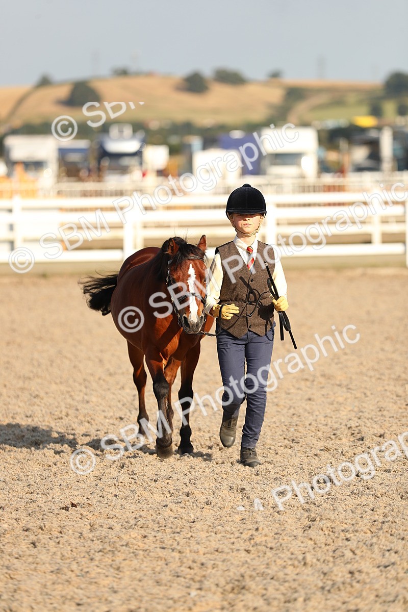 SBM_08990 - Class 29 IH Veteran Pony
