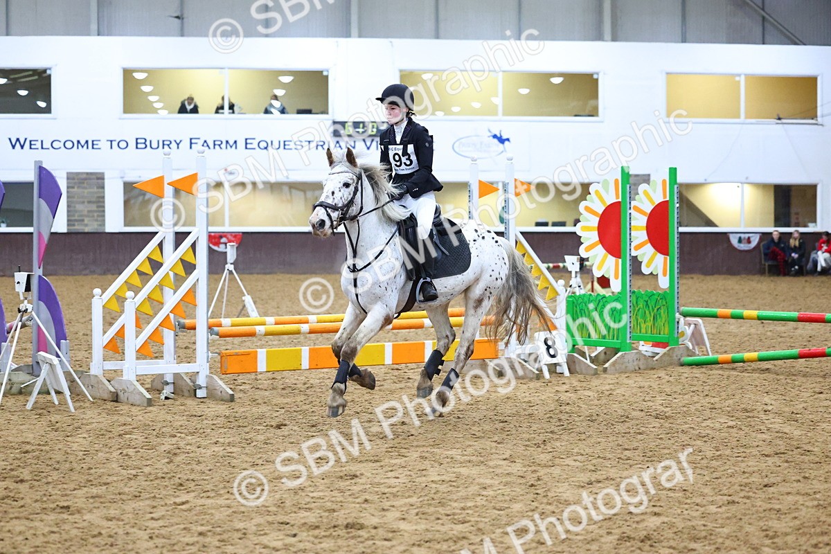 SBM_001316 - Class 3 - Christmas Tree Stakes - 60cm