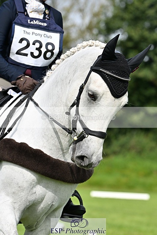 230826-102440-16495 - Sections A & B 10 to End