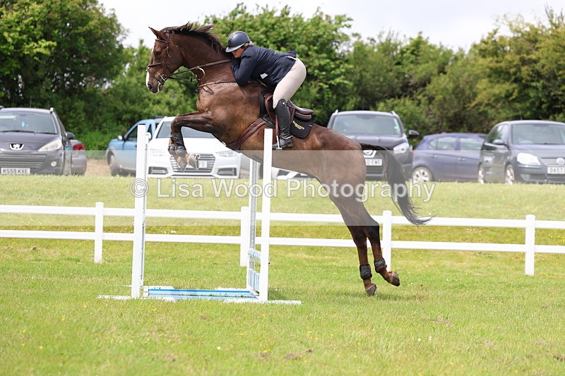 3E7A7087 - Class 12: Senior Foxhunter/1.20 open