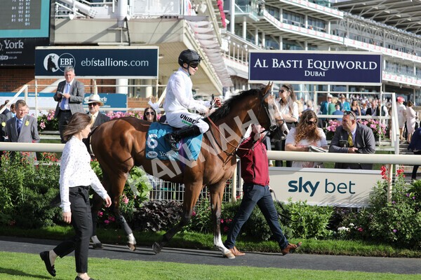 yr19082022r7-13 - Race 7 5.20pm Sky Bet Mile Stakes