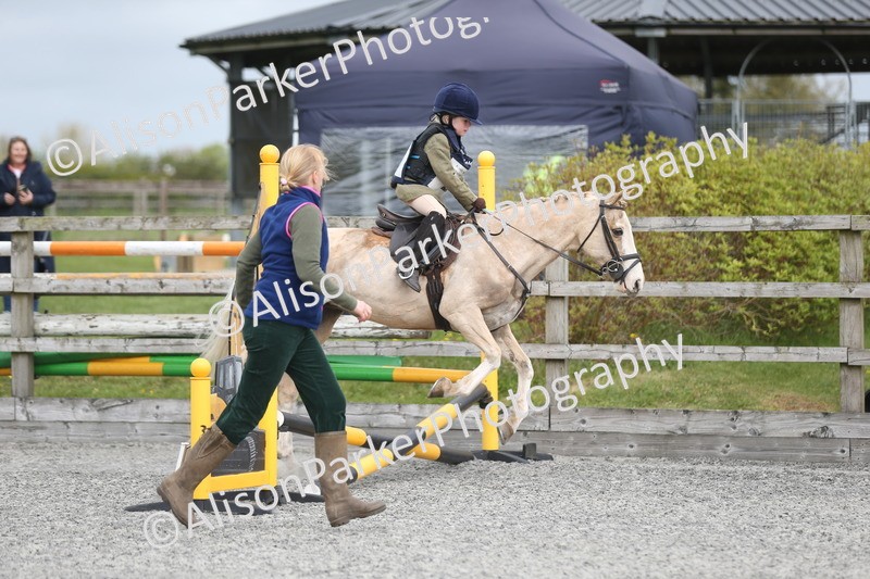 20260412-0142 - Show Jumping
