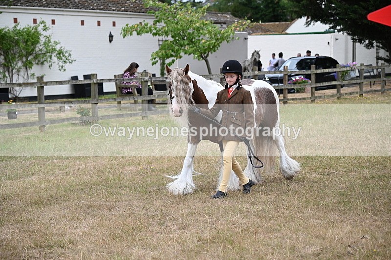 WJ6_8027 - Class 10 Coloured in Hand