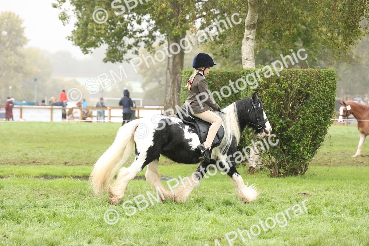 SBM_72825 - S70 - Traditional Cob Ridden