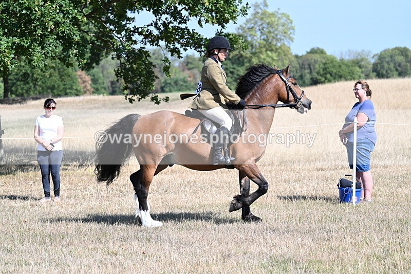 WJ7_3741 - Class 9 Mountain & Moorland Ridden