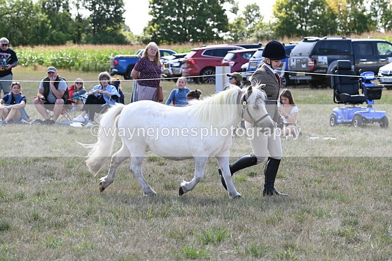 WJ6_4924 - Class 17 Mountain & Moorland
