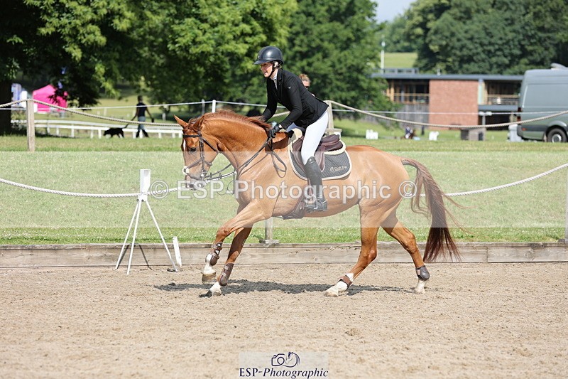 250614A-100231-05505 - Cls 26 British Novice and 90cm Open