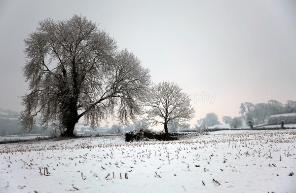 Felton in snow_ 342 - Somerset landscape Photography