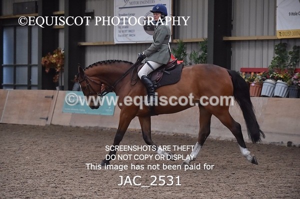 JAC_2531 - CLASS 3 Intermediate Working Hunter