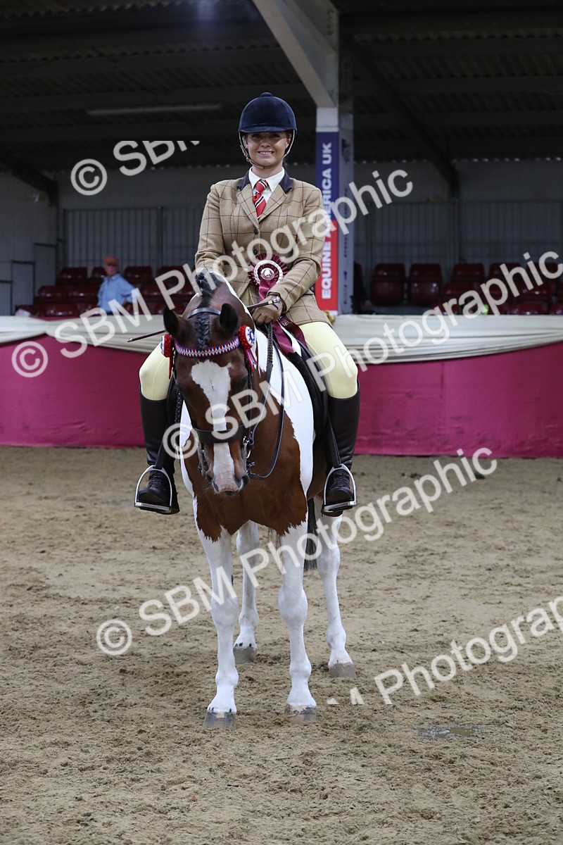 SBM_08476 - Class 11R Regional Ridden Veteran
