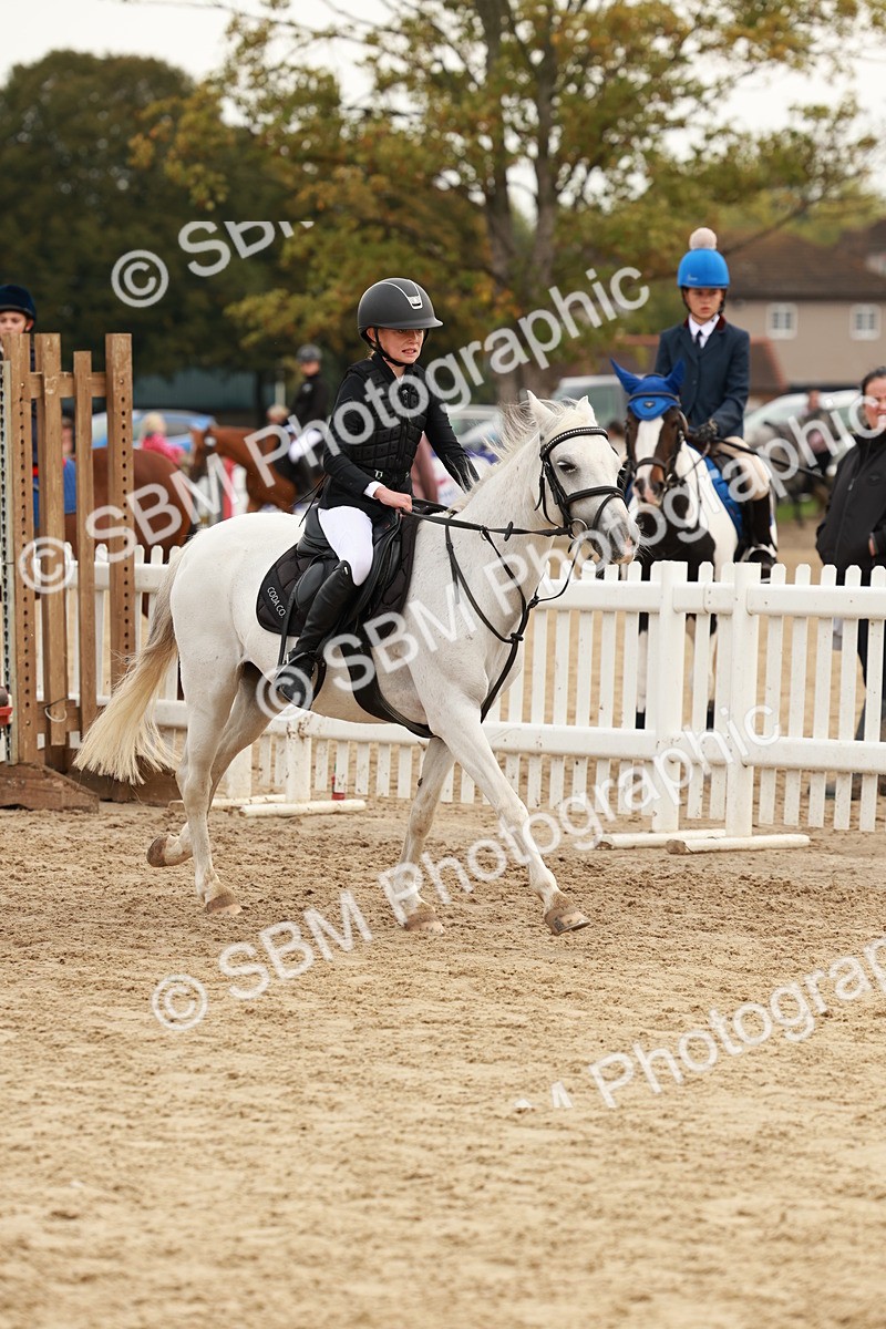 SBM_57635 - J11 - Junior Pony 50cm Championship
