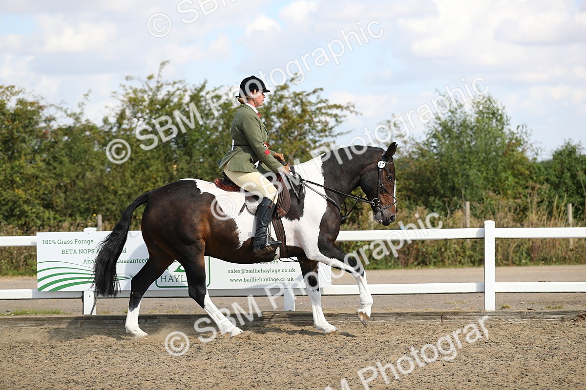 SBM_03306 - Class 44 Riding Club Horse/ Pony