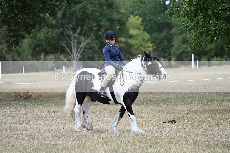 WJ7_4665 - Class 12 Ridden Cob