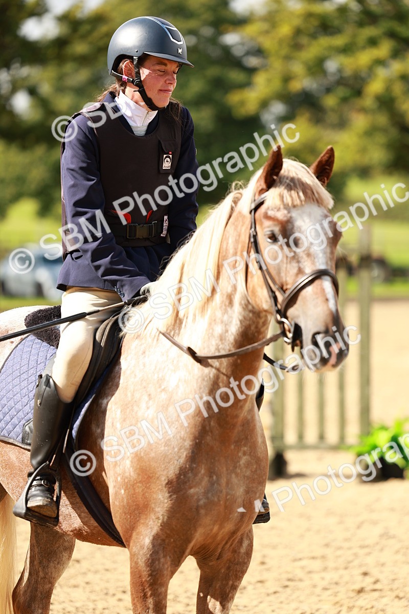 SBM_38115 - J39 - Senior Horse & Pony 85cm Championship
