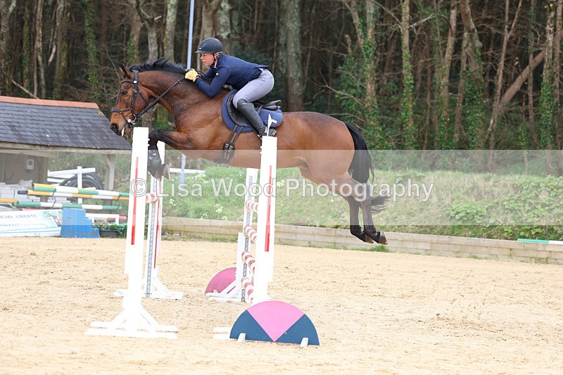 3E7A7847 - Class 9: Senior Foxhunter/1.20 open