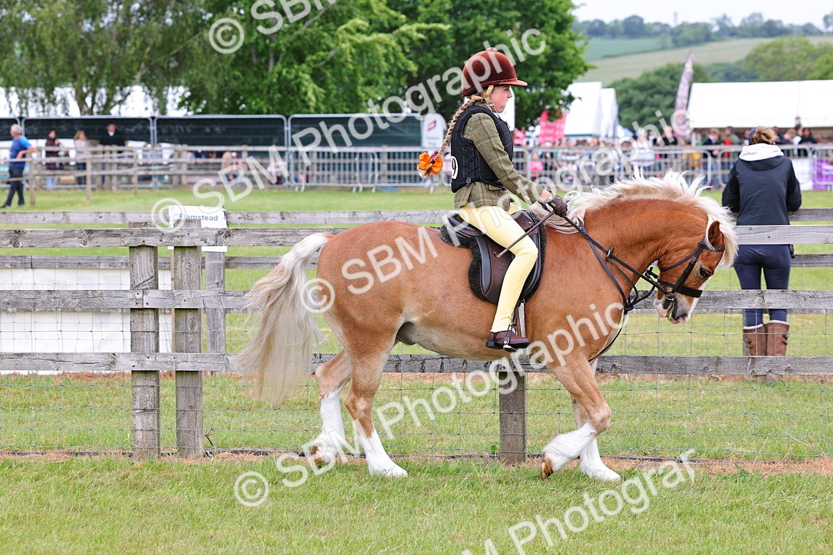 SBM_08542 - Class 42-43 - LIHS BSPS Heritage Working Sports Pony