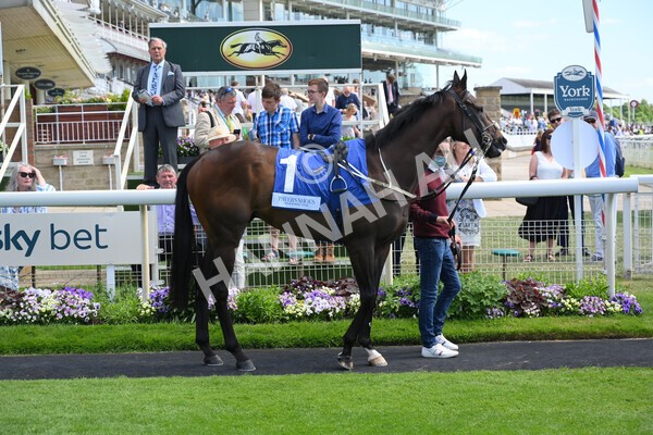 yr12062021r4-37 - Race 4 3.40pm The Pavers Foundation Catherine Memorial Sprint Stakes