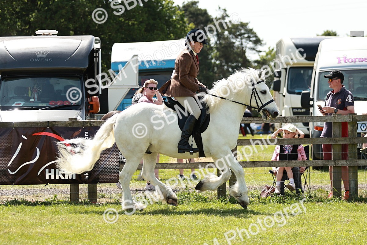 SBM_07052 - Class 26-30 - Mountain and Moorland Ridden