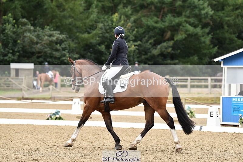 140109A-233518-08511 - 008-Bella.Balian-Beechwood.Joey