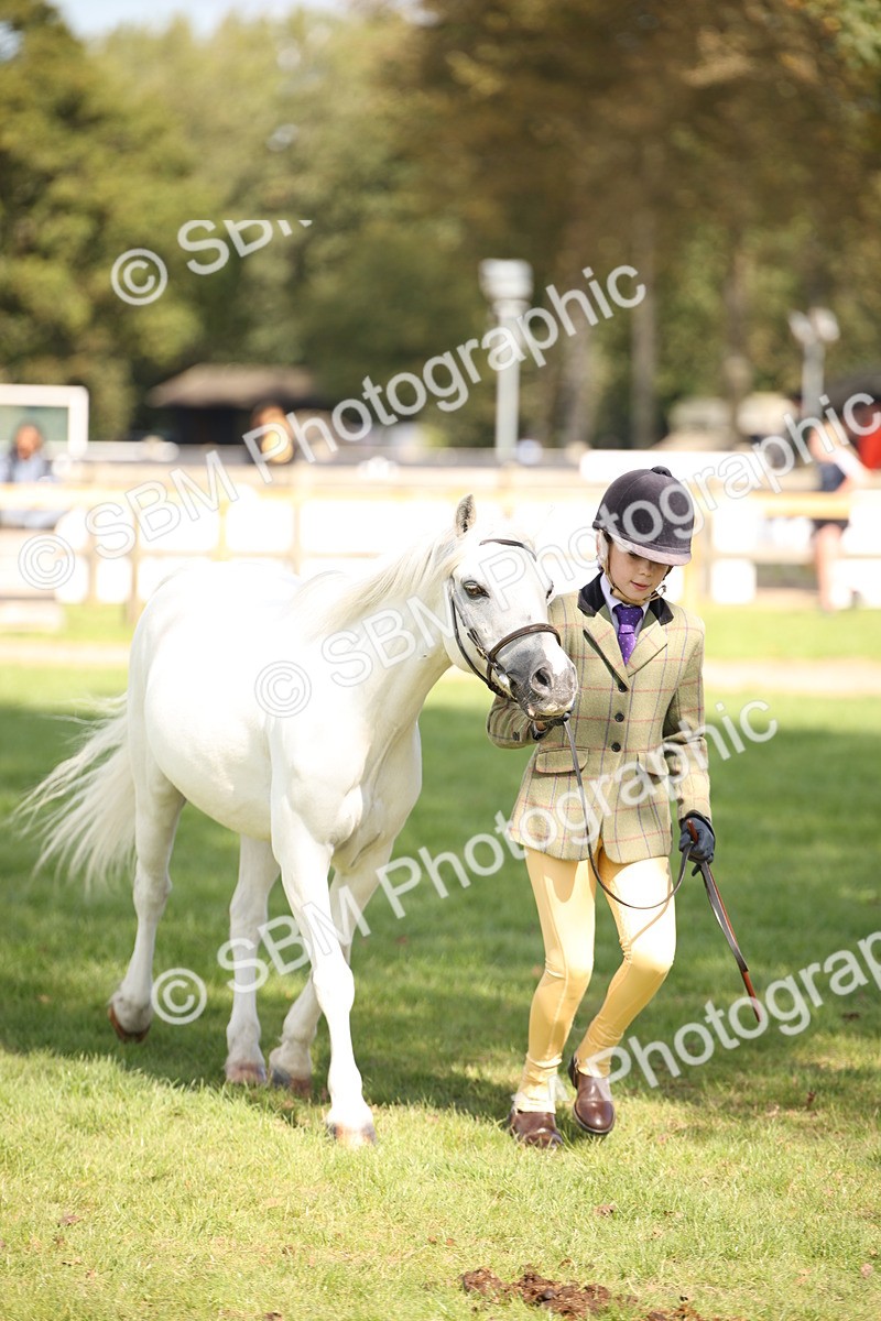 SBM_44446 - S24 - Young Veteran in hand