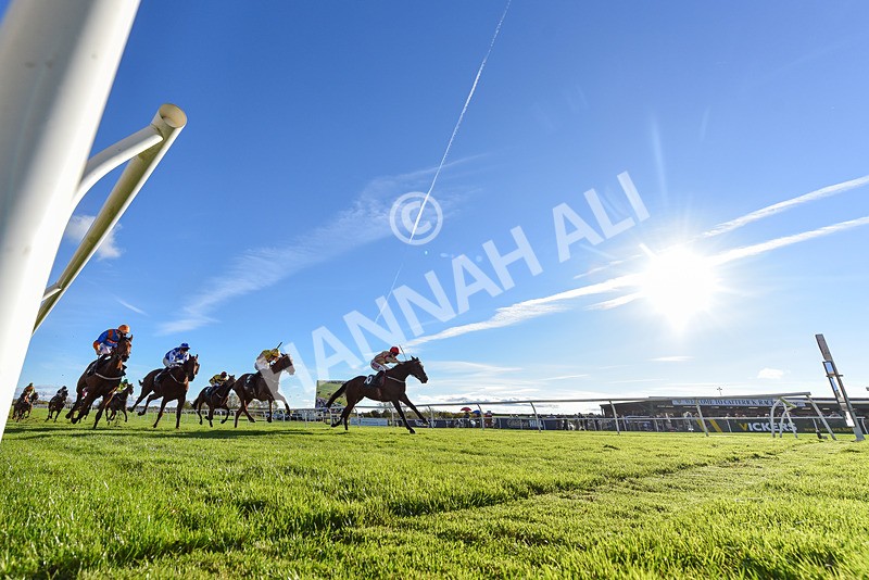 291024-Race 4-Rwenearlytheredad-8686 - Race 4