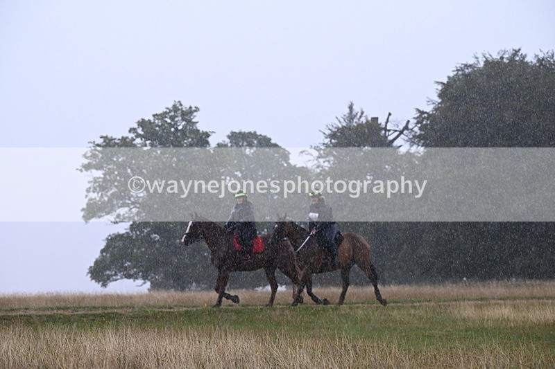 DSC_3077 - Time at Statue 12:59 to 13:49