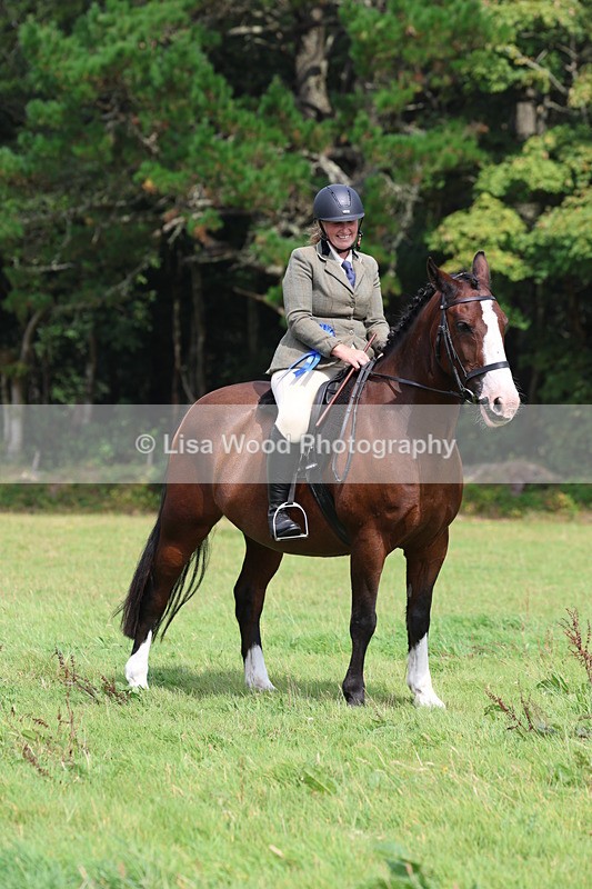 3E7A5933 - Class 26 and 27: 70cm Working Hunter