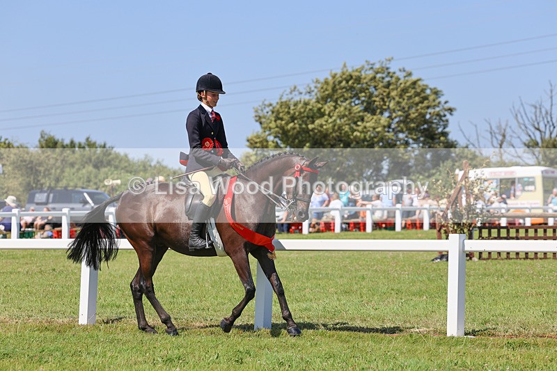 IMG_2156 - Plaited Ridden Championship