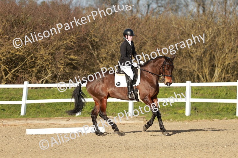 20260314-6251 - CT7 - Elementary 2