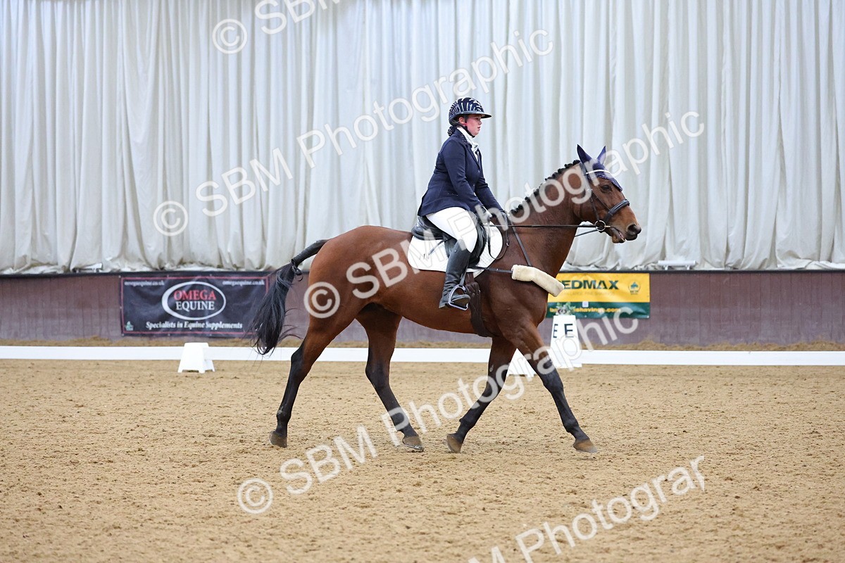 SBM_003811 - Novice
