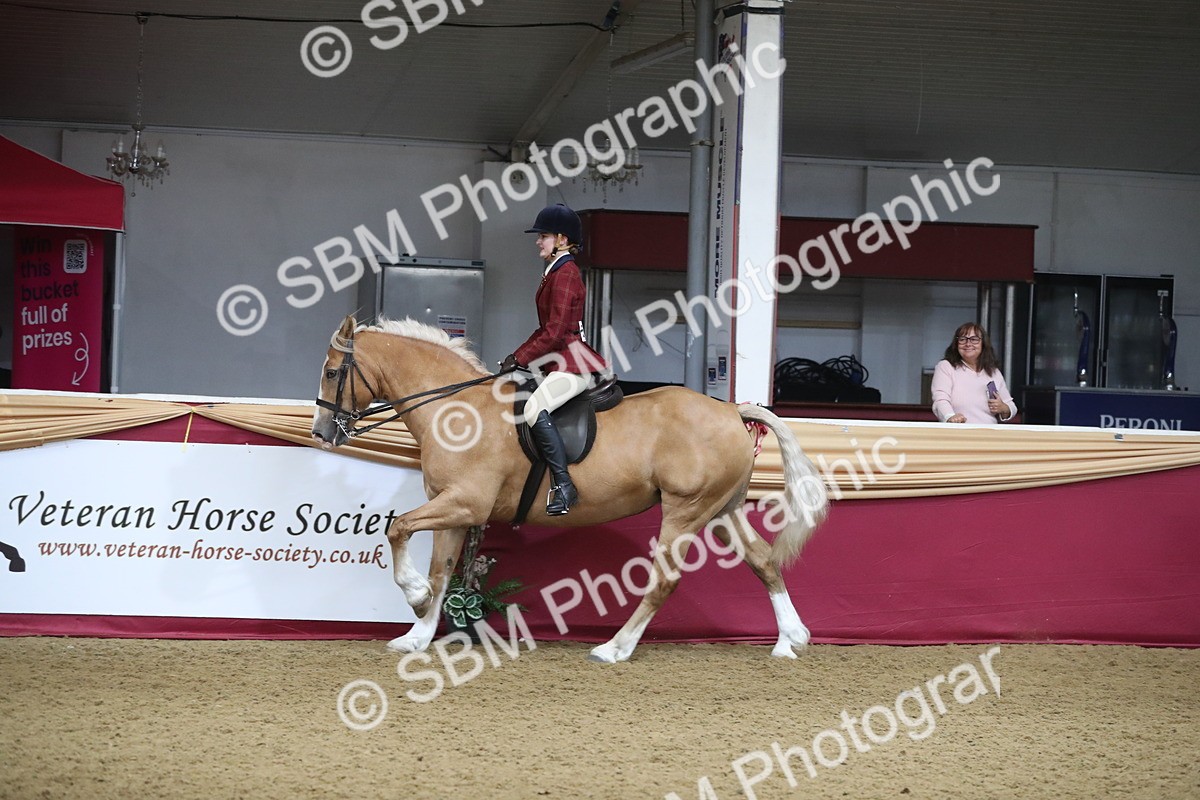 SBM_10440 - Class 102 Equitation (best rider) Adult