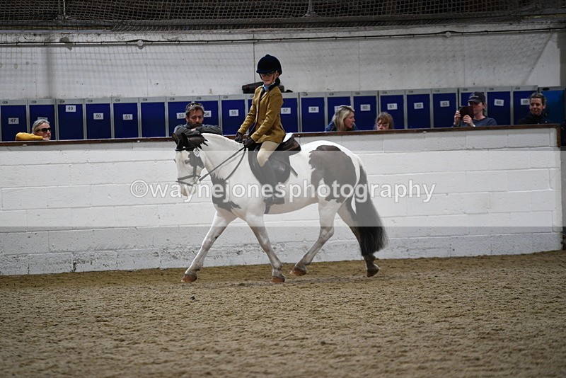 WJ5_7277 - Class 11 Ridden PC - RC Pony