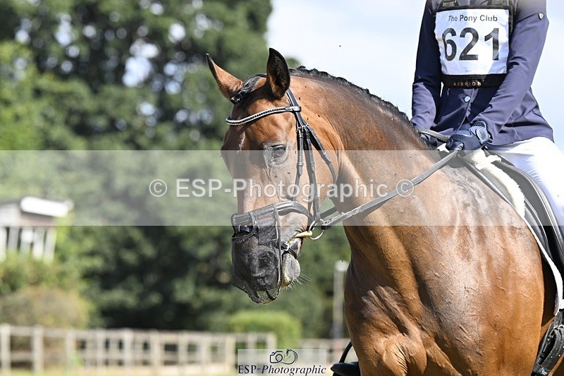 250822A-104518-20424 - DR 10.00 to 11.00