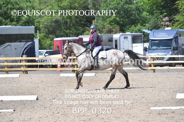 BPP_0320 - SHORT ARENA  MY QUEST PRELIM
