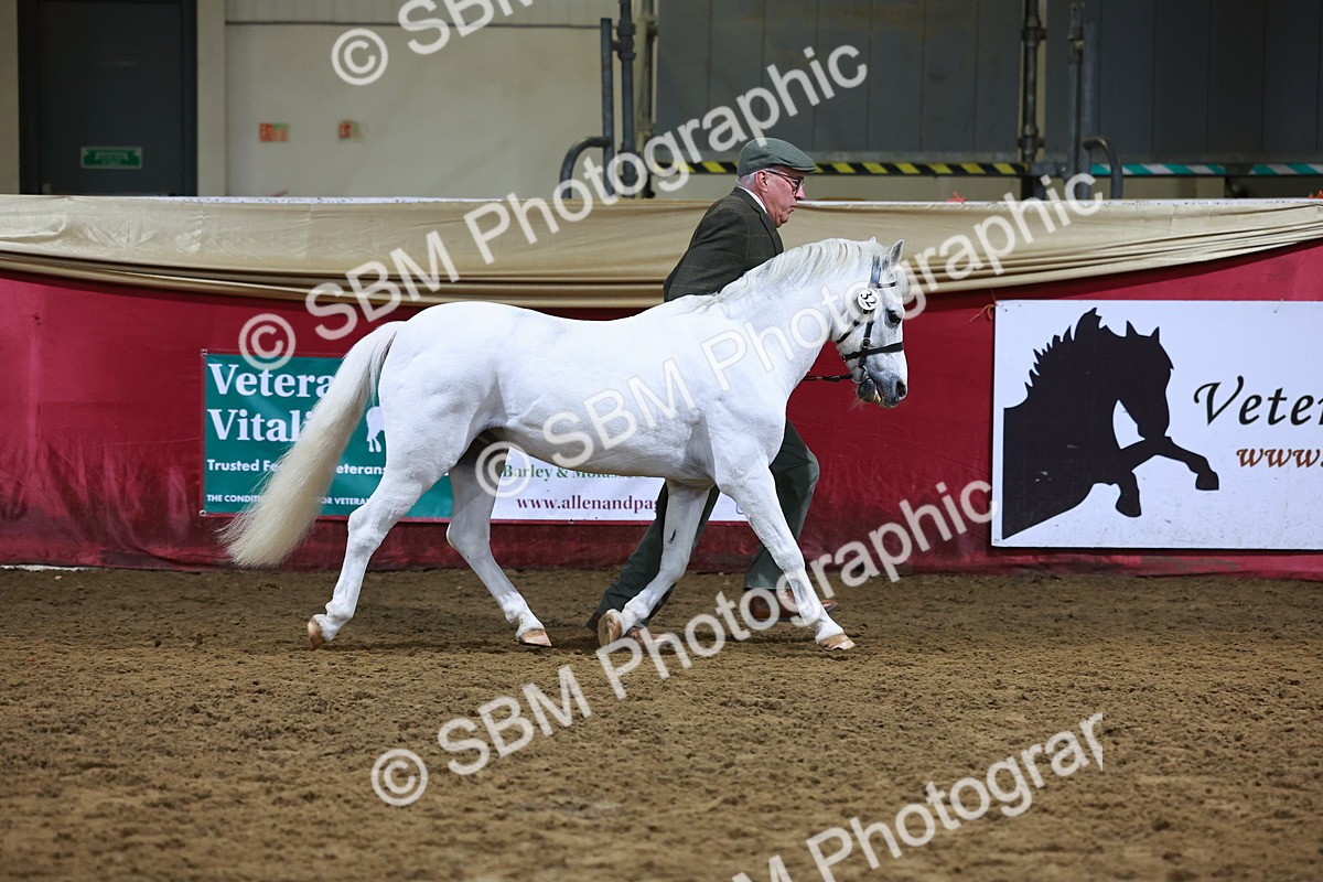 SBM_15232 - Class P - M&M Champ