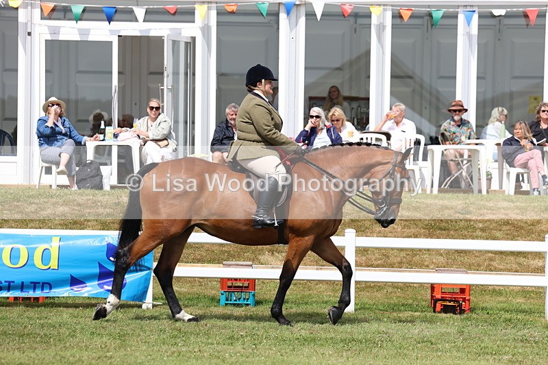 3E7A0449 - Rising Star Ridden Championship