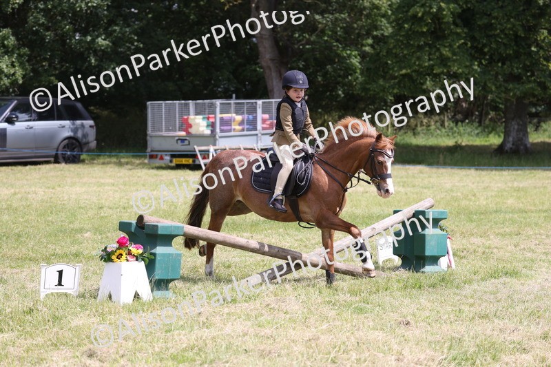 20260614-1996 - Class 21 - Novice Working Hunter Pony