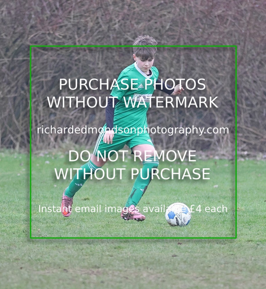 533A6667 - Lonsdale Terriers