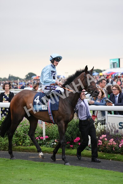 yr22072022r5-11 - Race 5 7.20pm British Stallion Studs EBF Lyric Fillies' Stakes