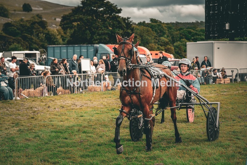 DSCF7357 - Kilnsey Harness racing