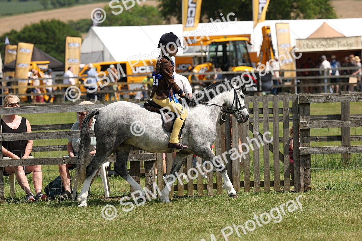SBM_05392 - Class 24-25 - Mountain & Moorland In Hand Lead Rein and First Ridden