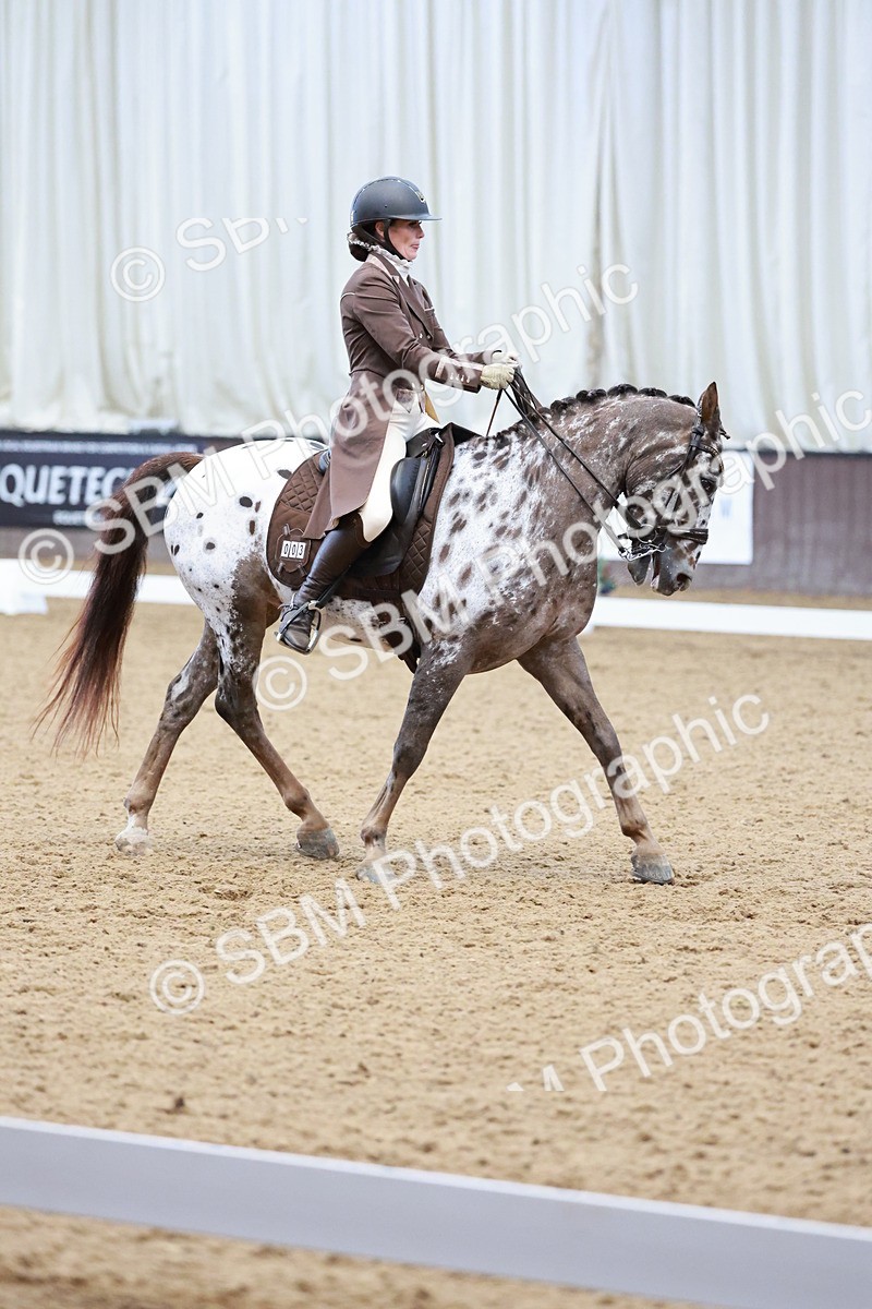 SBM_016559 - Class 5 - FEI INT II - 17.24-18.20