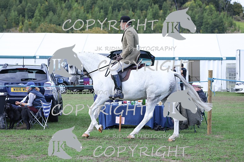 APP_4148 - Class 15a/b Pony club pony/Riding club horse