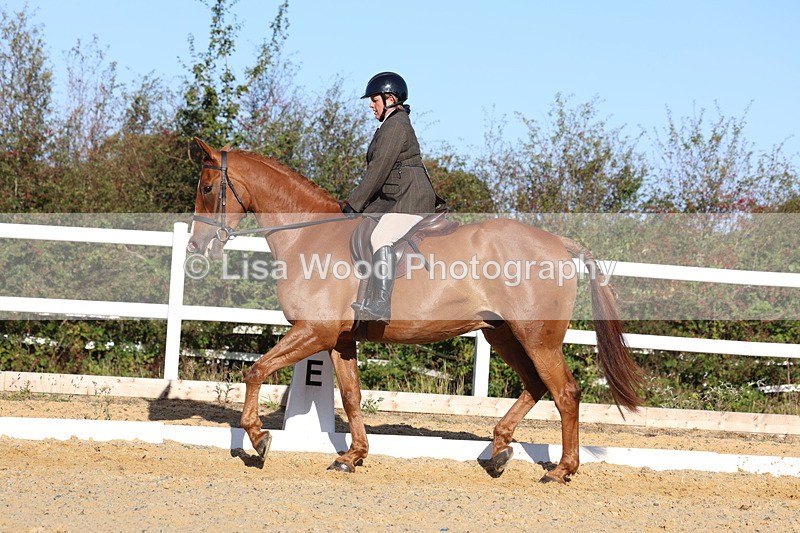 3E7A5198 - Class 7: Novice Ridden Hunter/Hack/RH/Cob