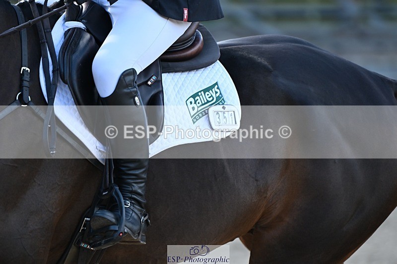 231022-131005-26956 - 351-MOONLIGHT.CHARMER-Aaron.Millar-SJ