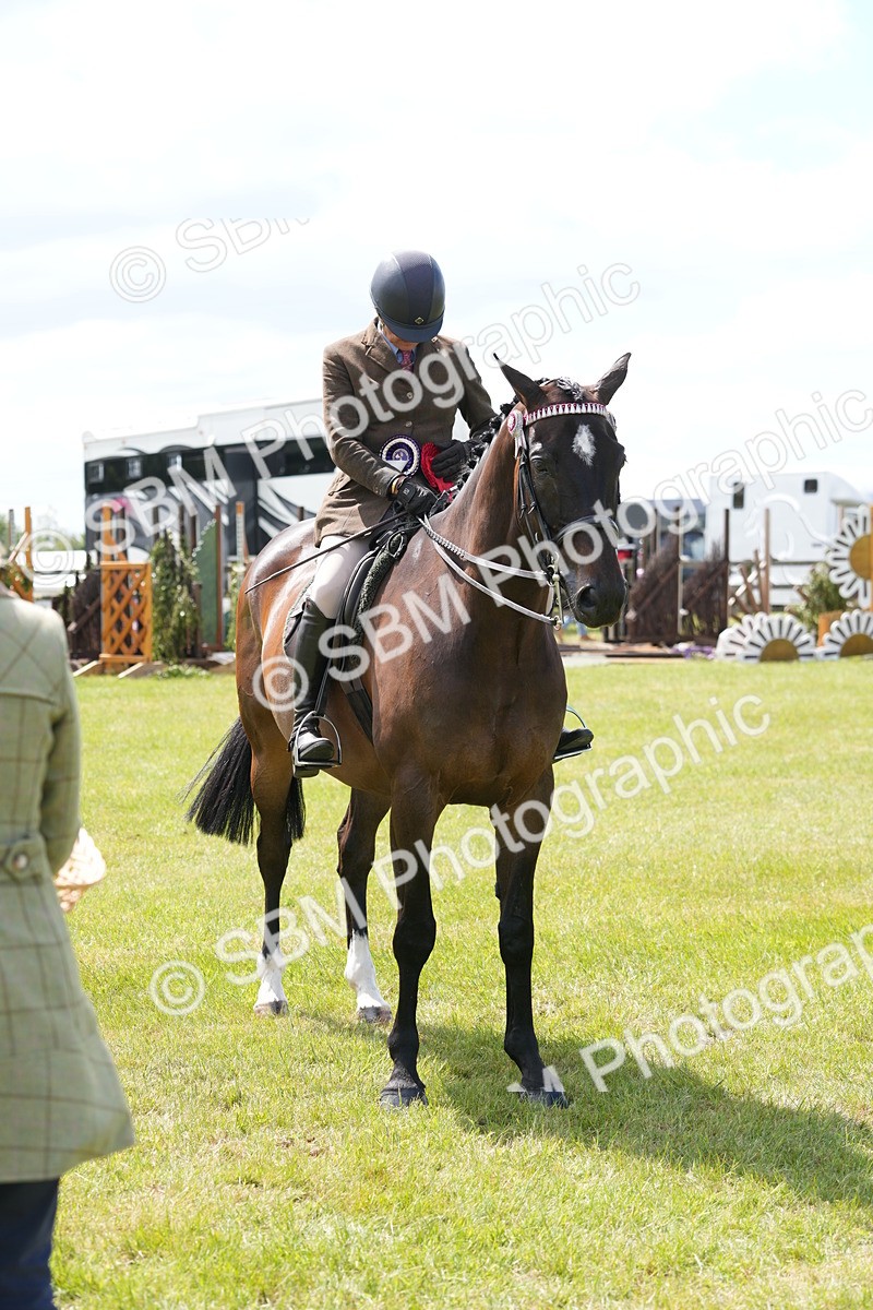 SBM_16267 - Class 105-106 - RIHS Riding Horses