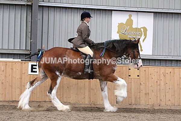 SIAL2464 - Sunday 14th Ridden
